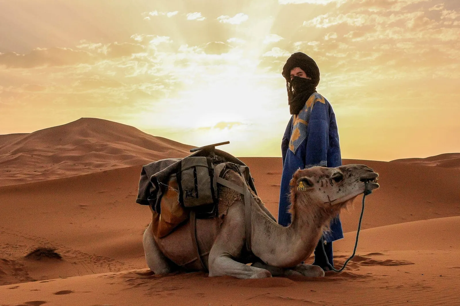 A camel and a guide in traditional dress at sunset on the dunes of Merzouga.